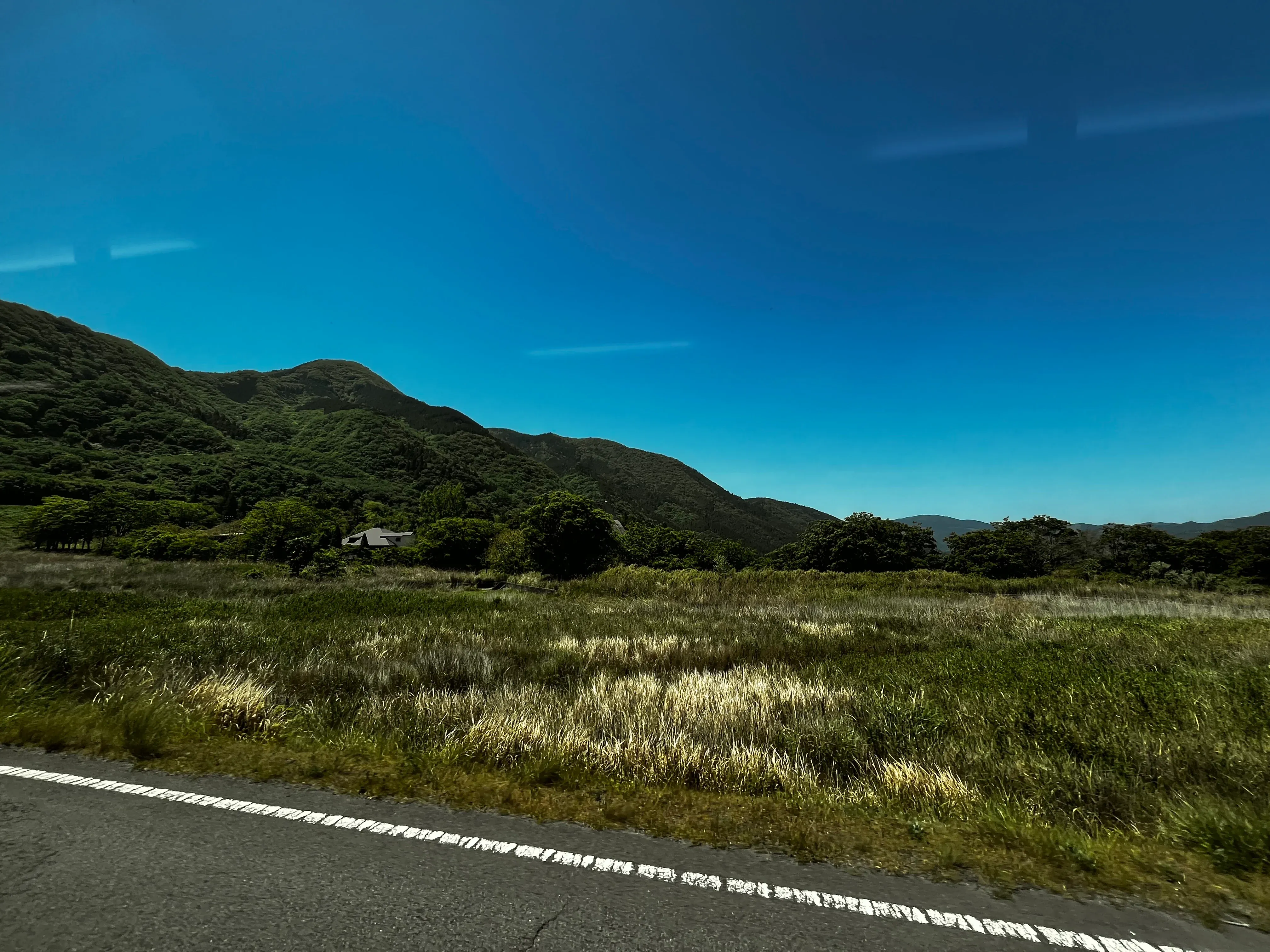 36 bus road view