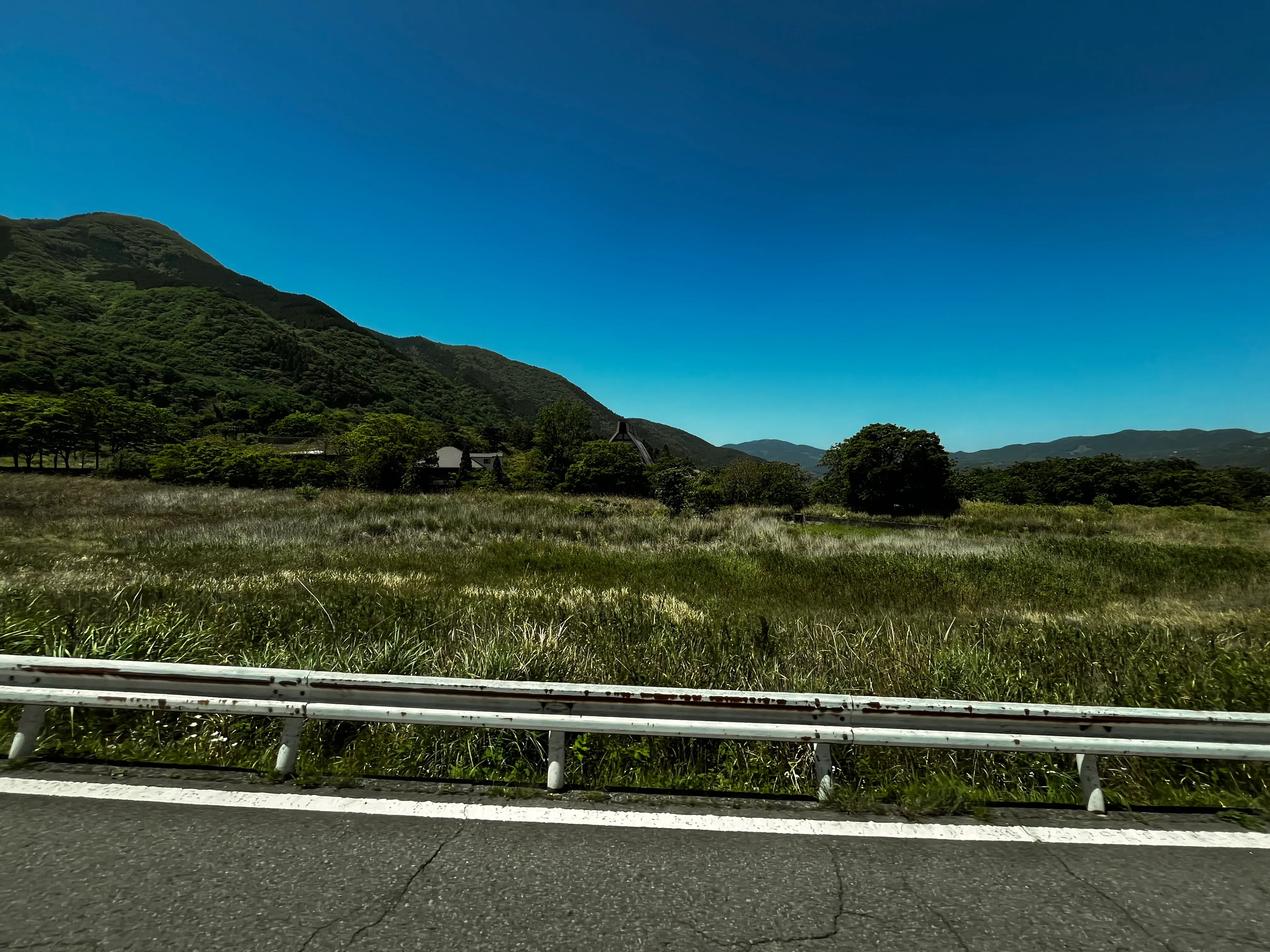 36 bus road view