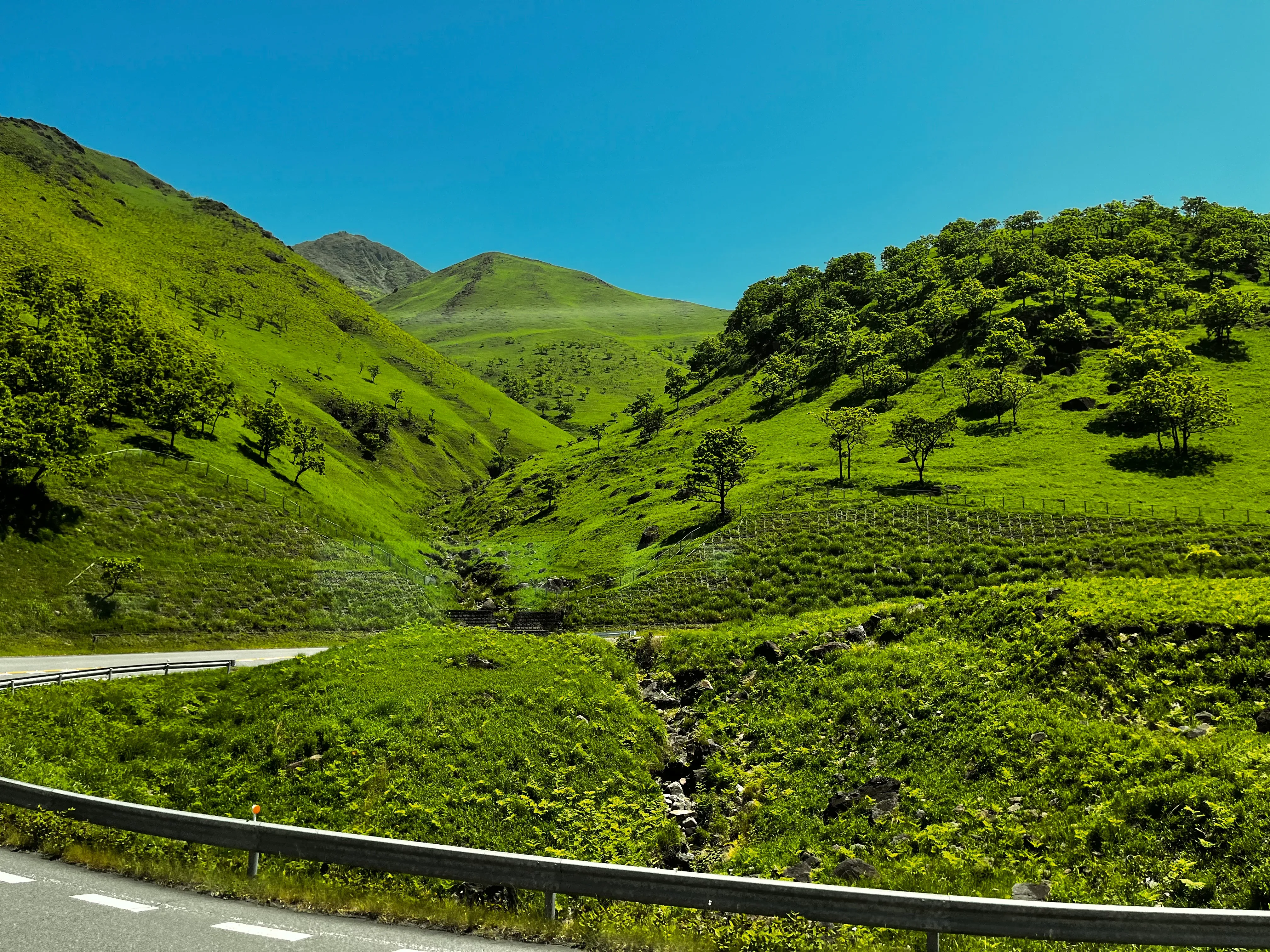 36 bus road view