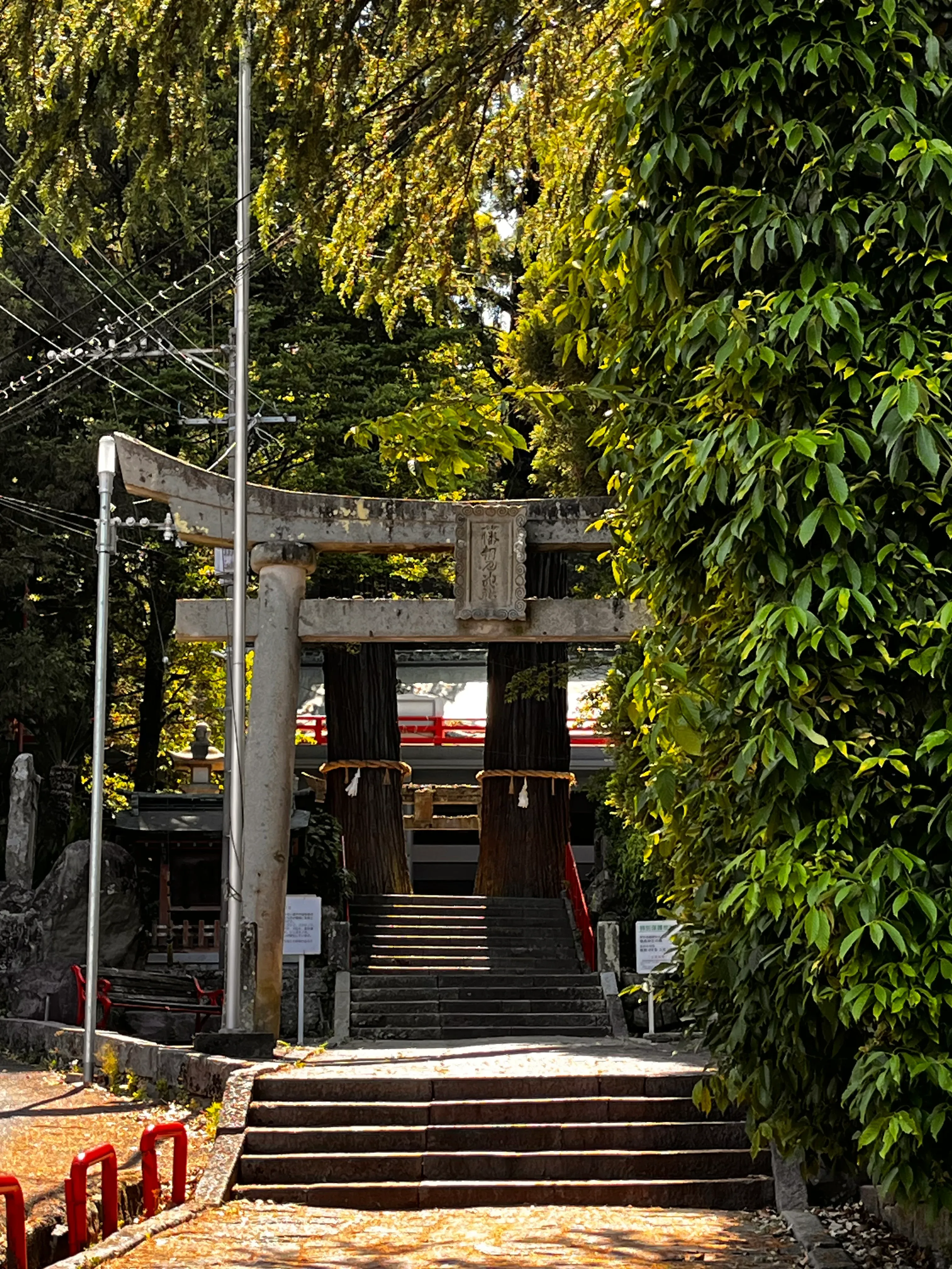 Beppu Torii