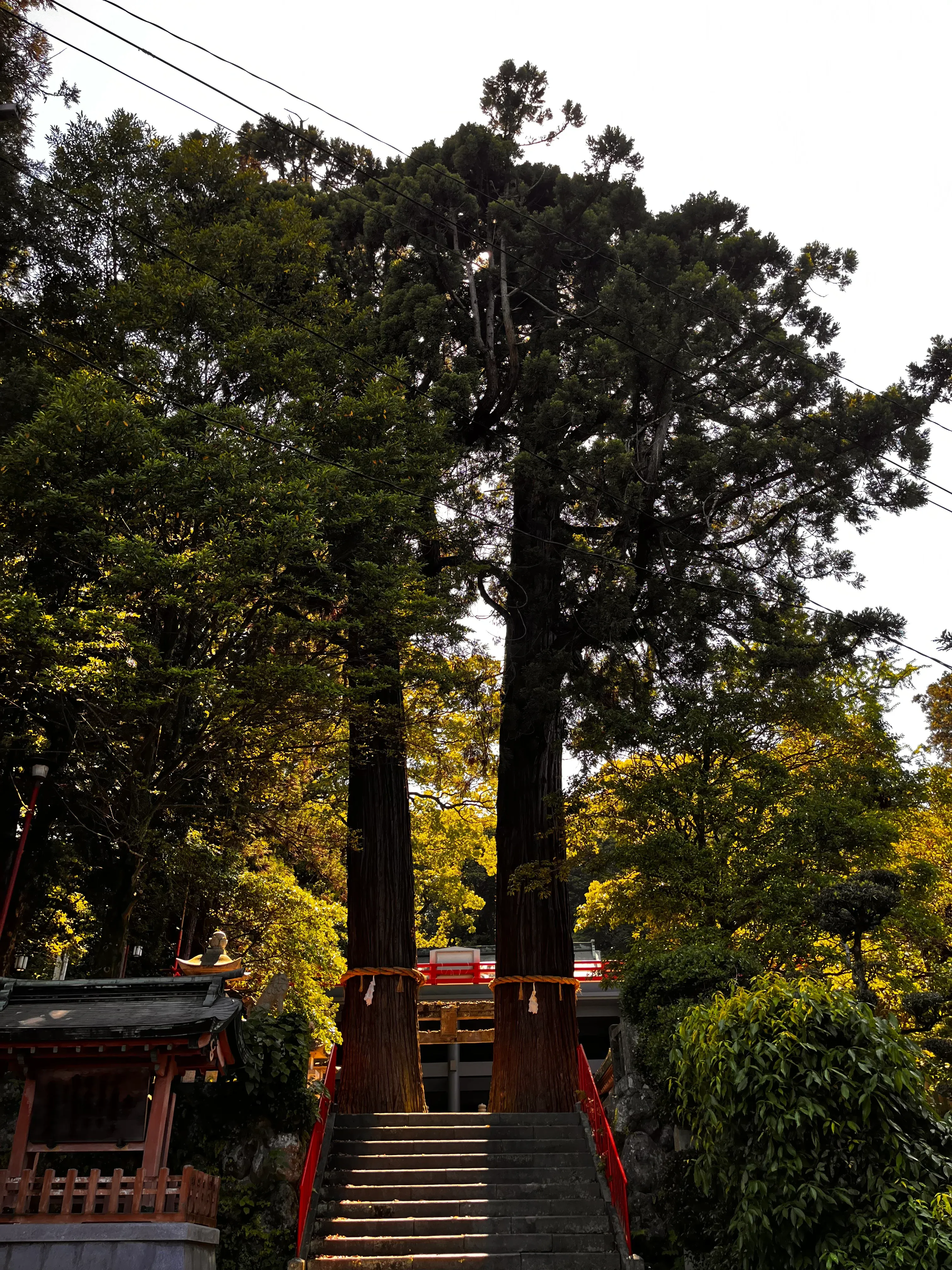Beppu Torii