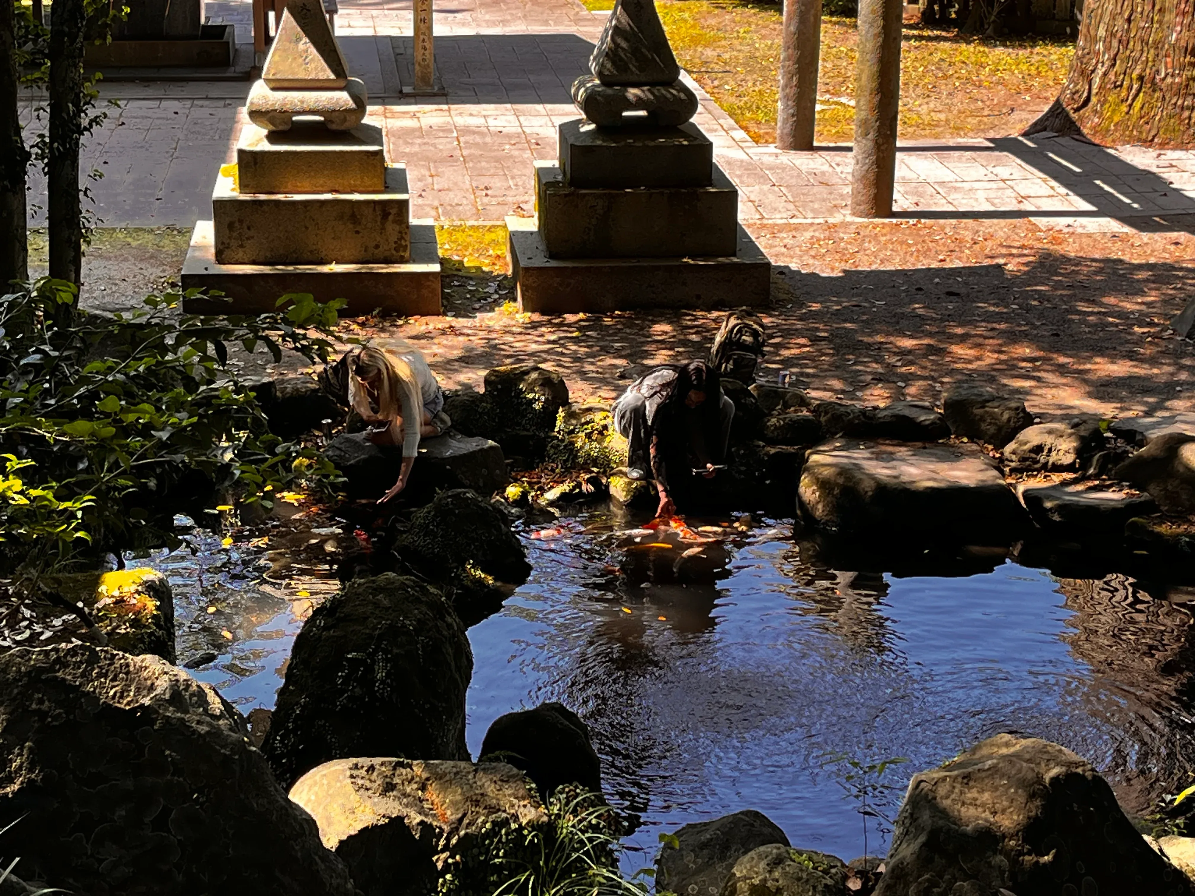 Beppu Koi