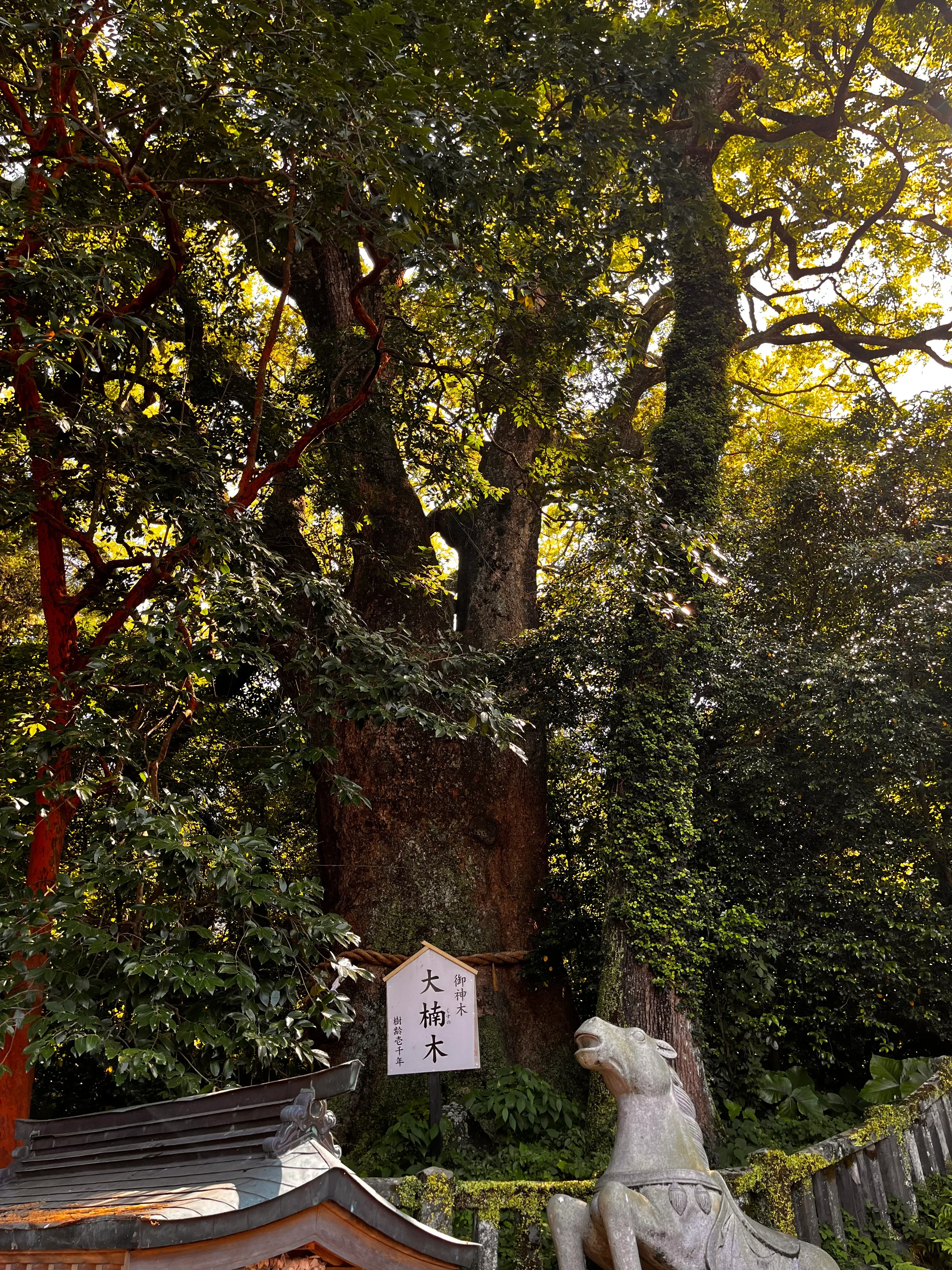 Beppu Shrine