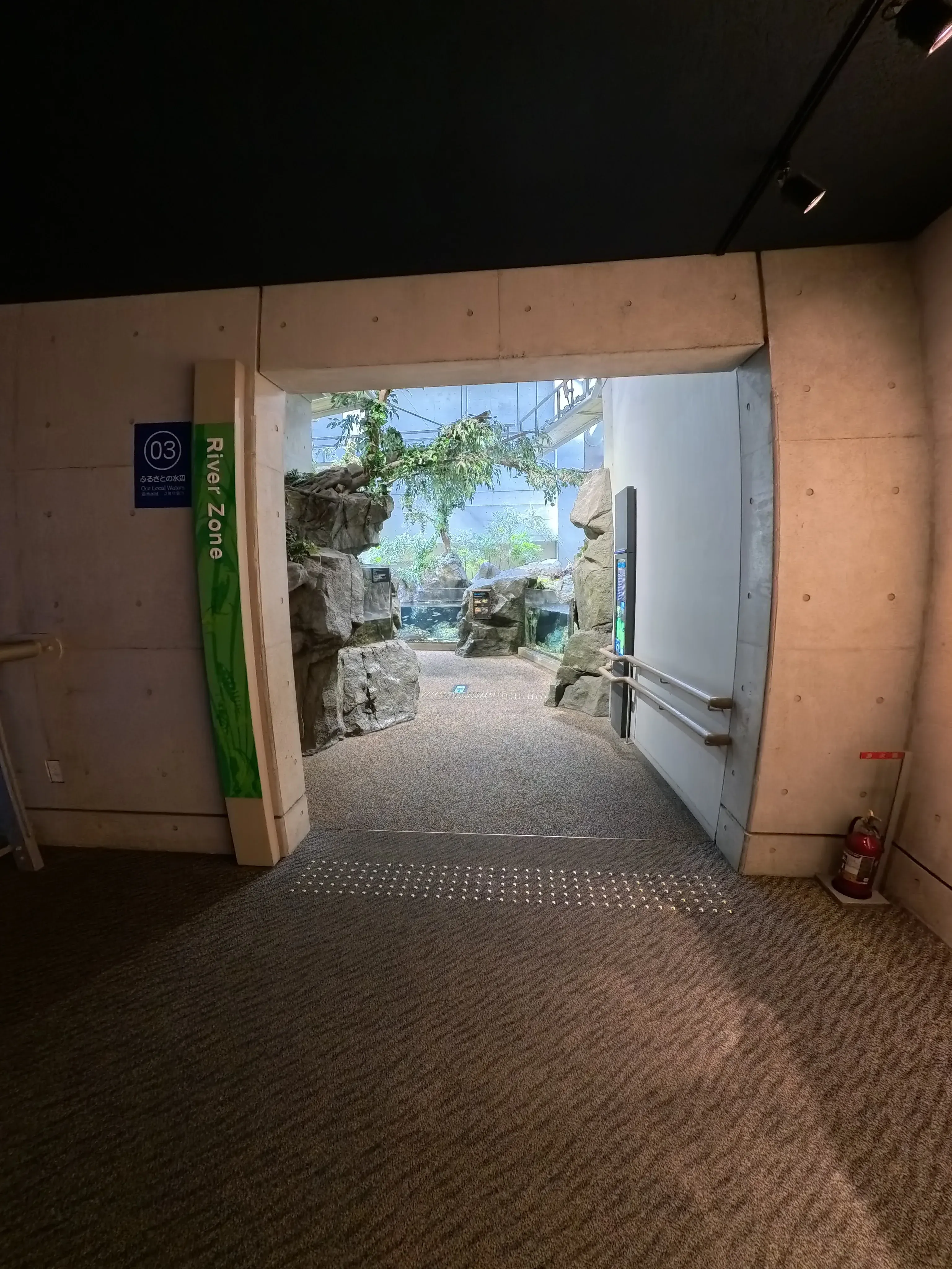 Umitamago Aquarium Entrance