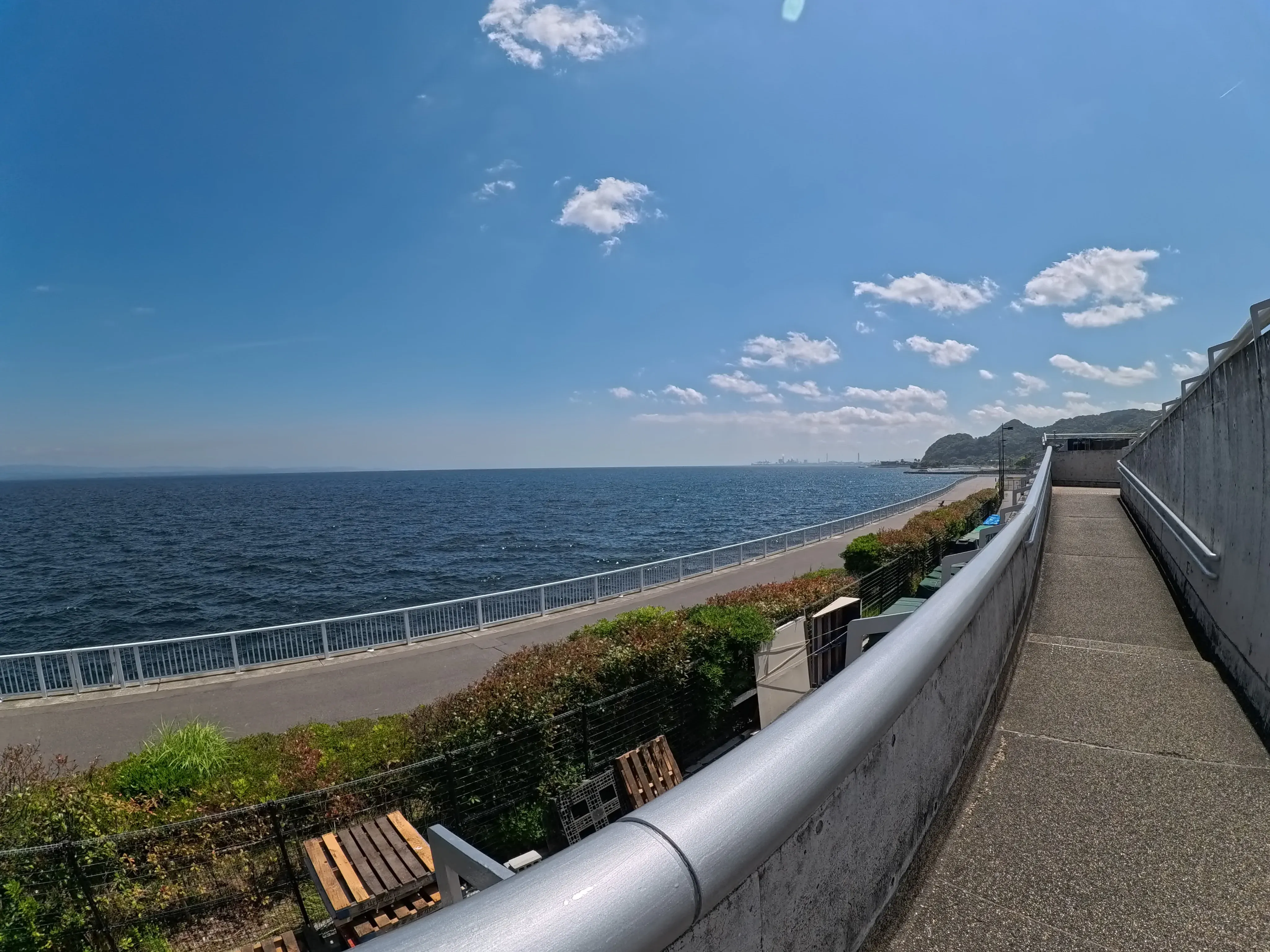 Umitamago Aquarium Sea View