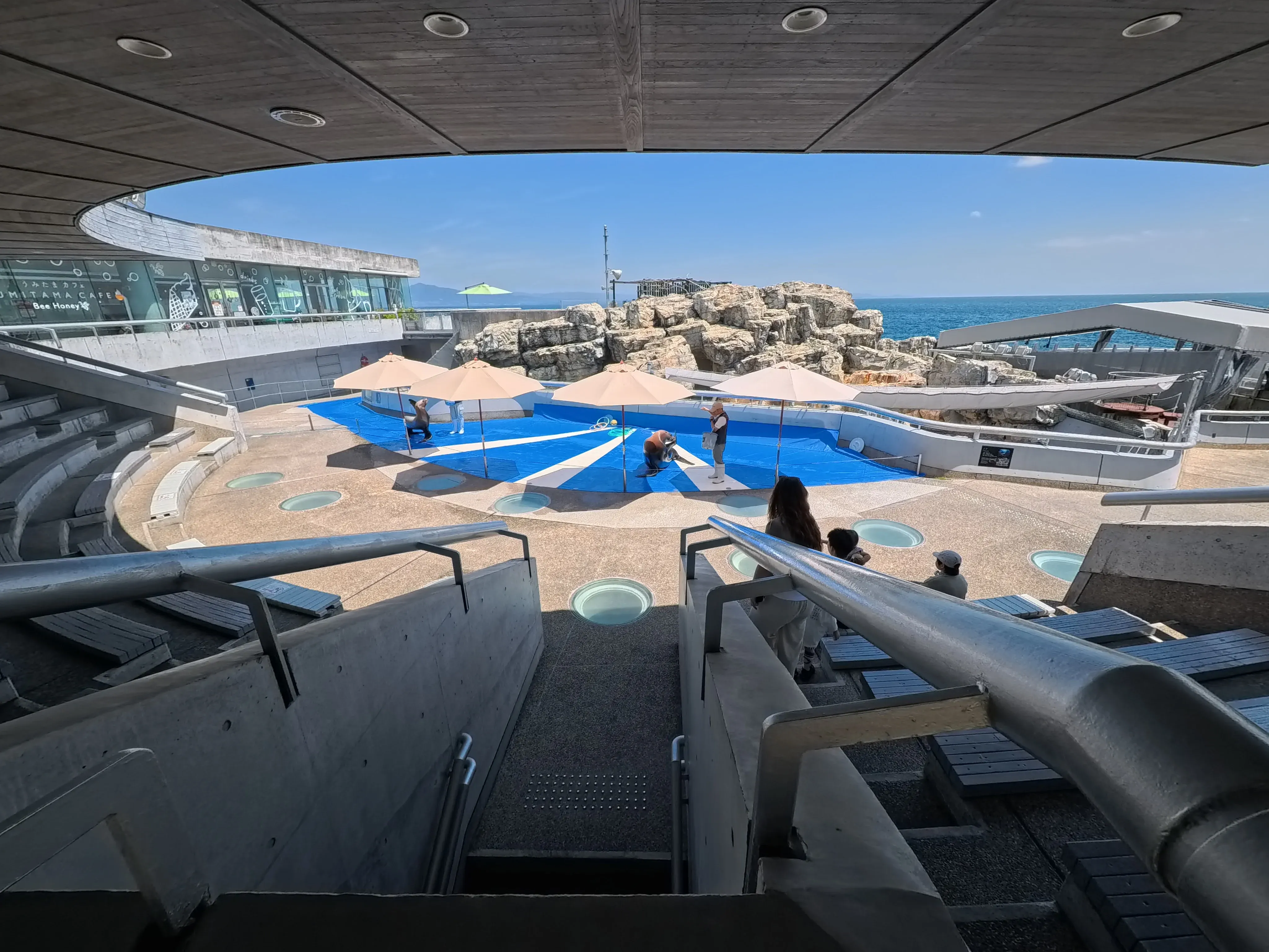 Umitamago Aquarium Sea Lion Show