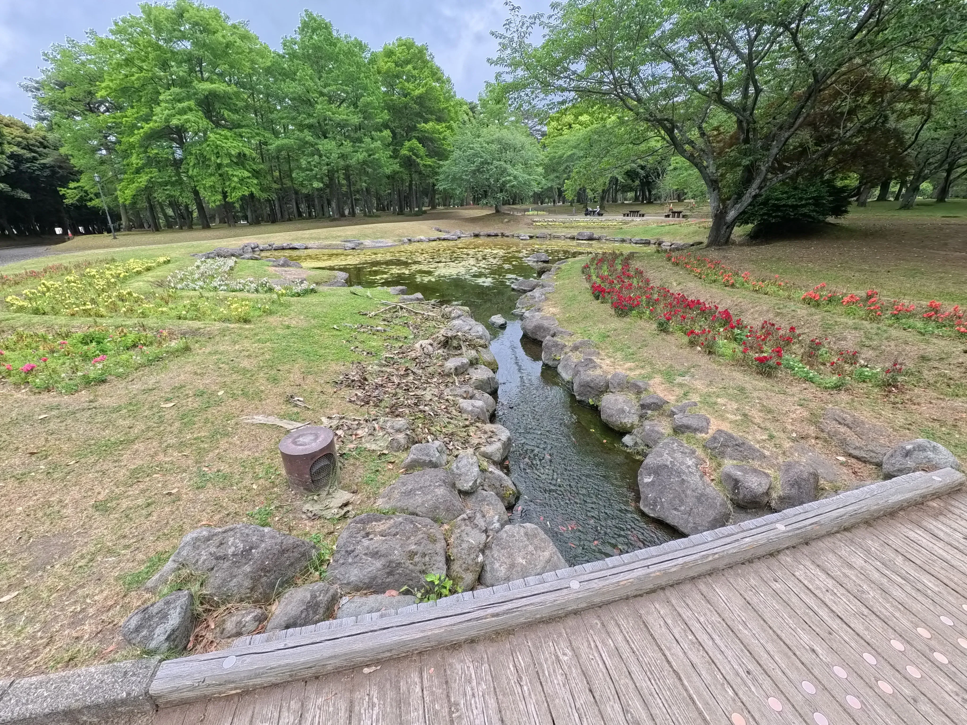 Beppu Park Flower