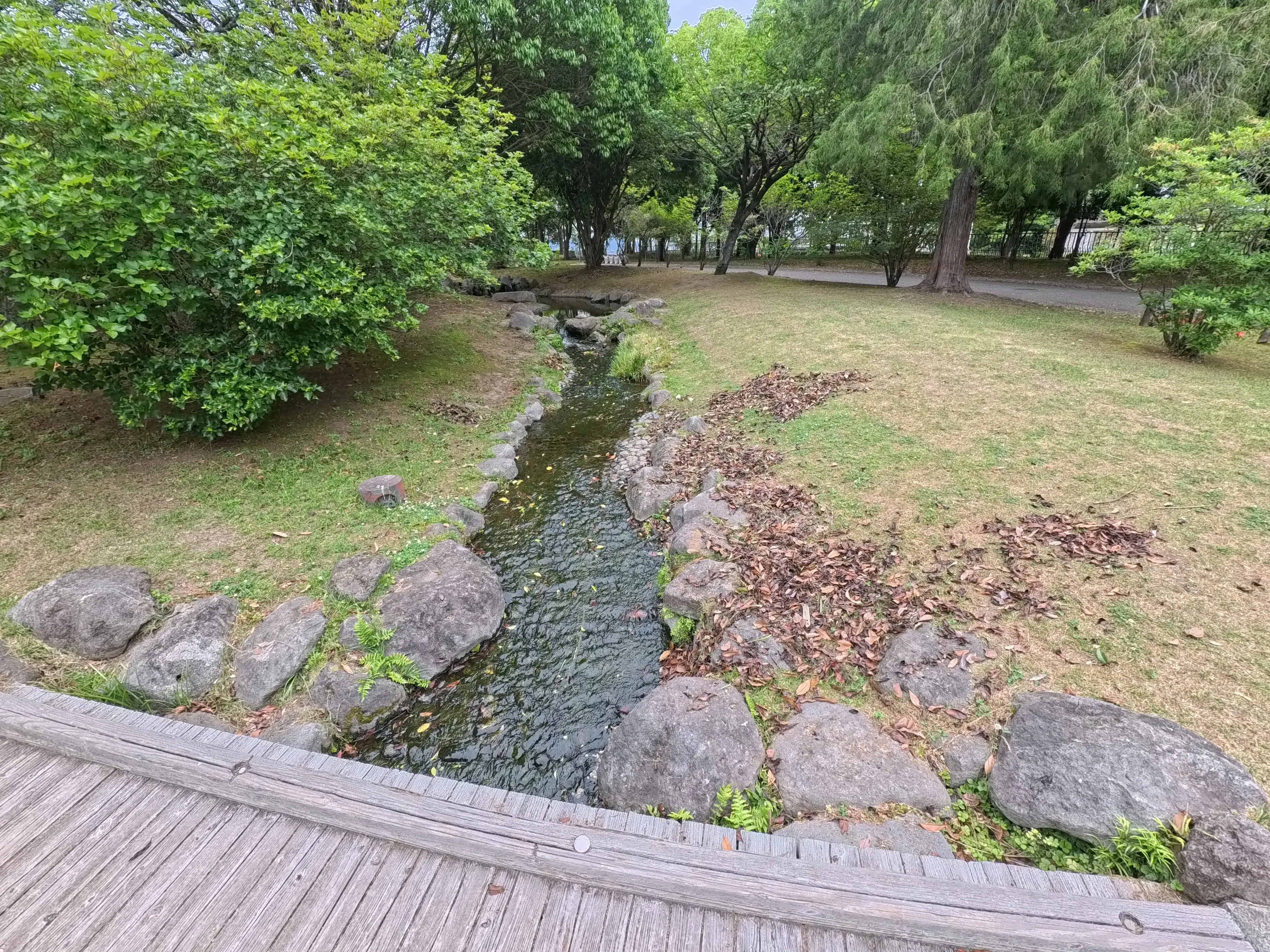 Beppu Park Flower