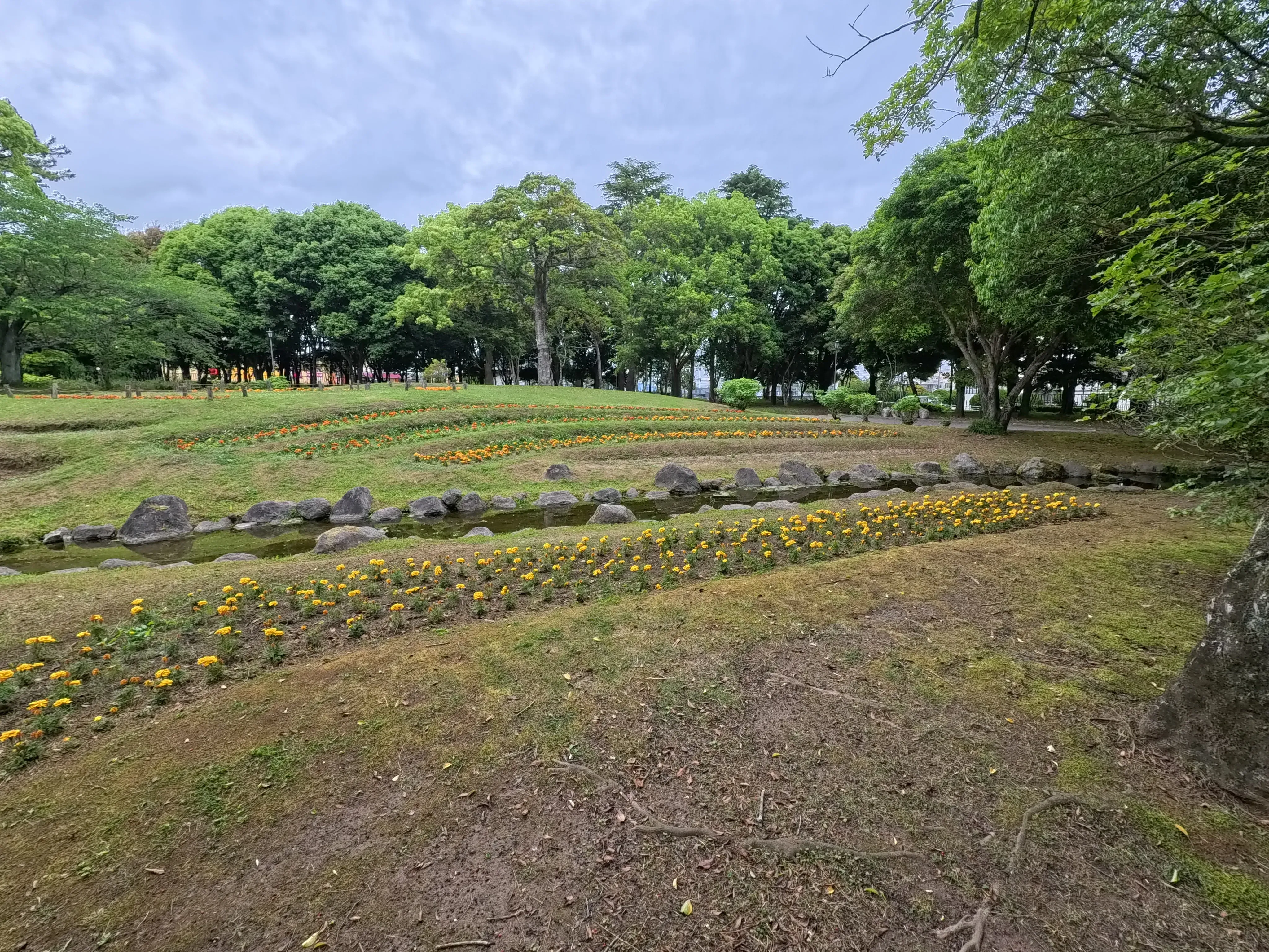Beppu Park Flower