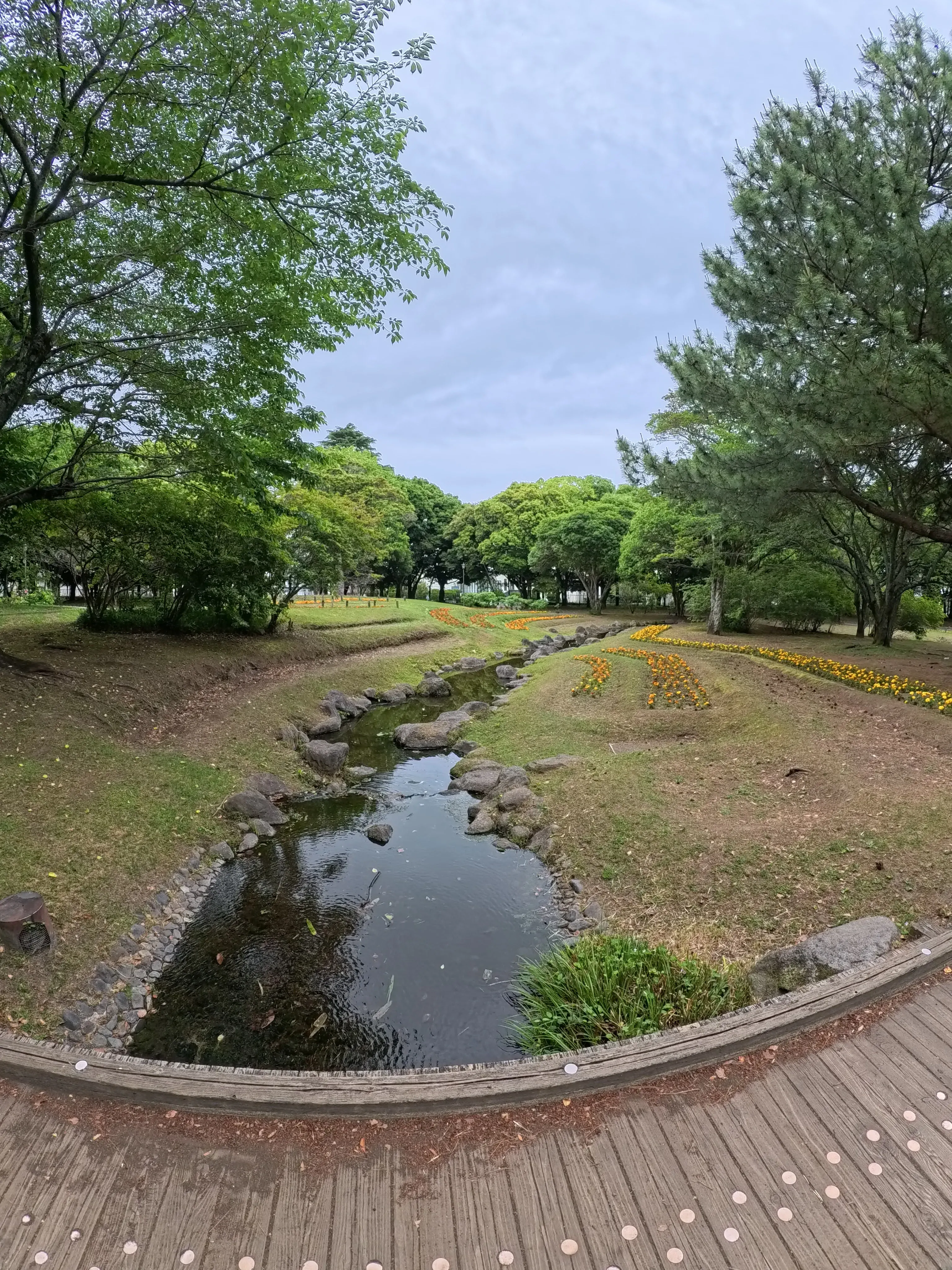 Beppu Park Flower
