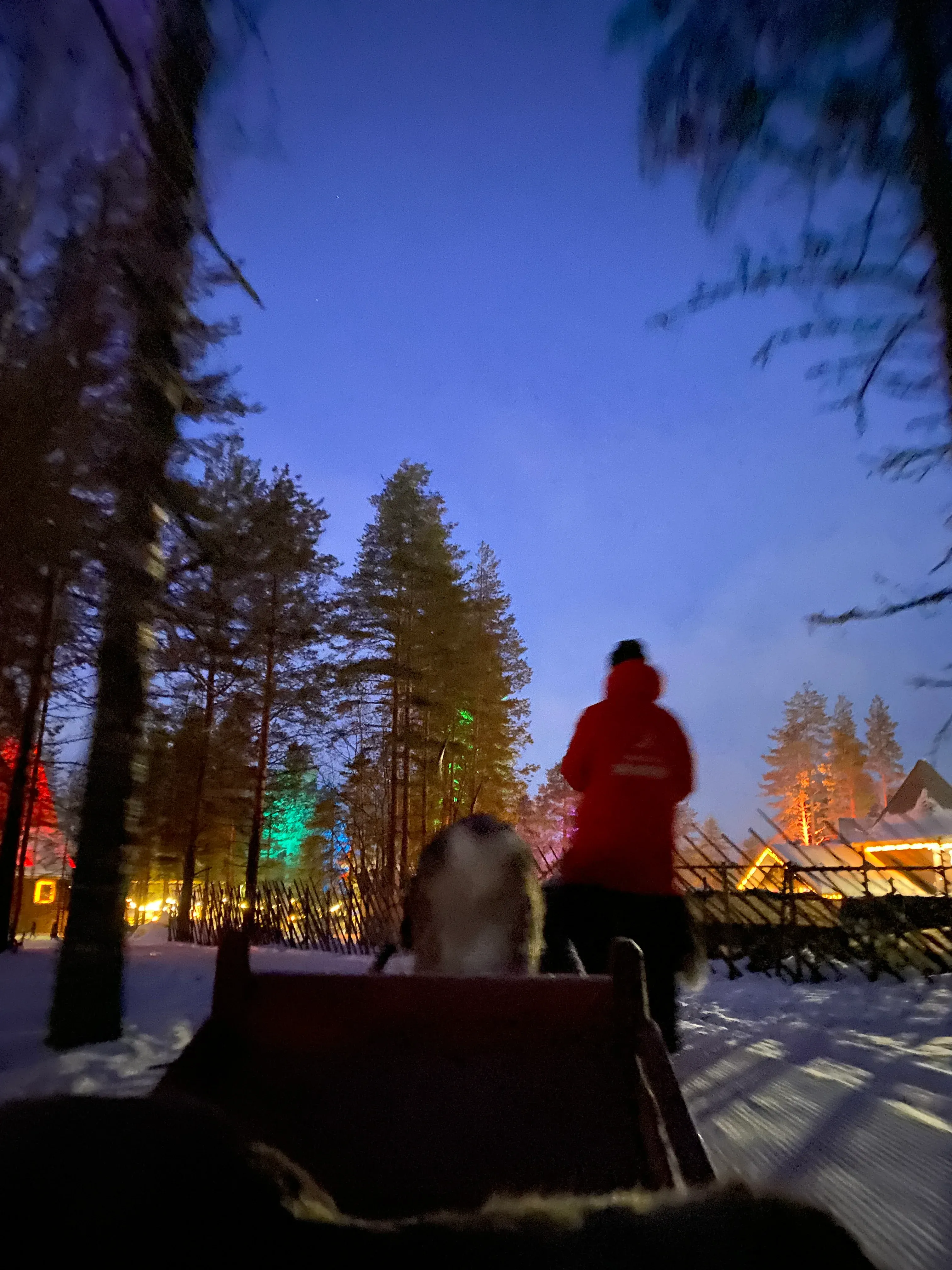 Reindeer Sled Ride