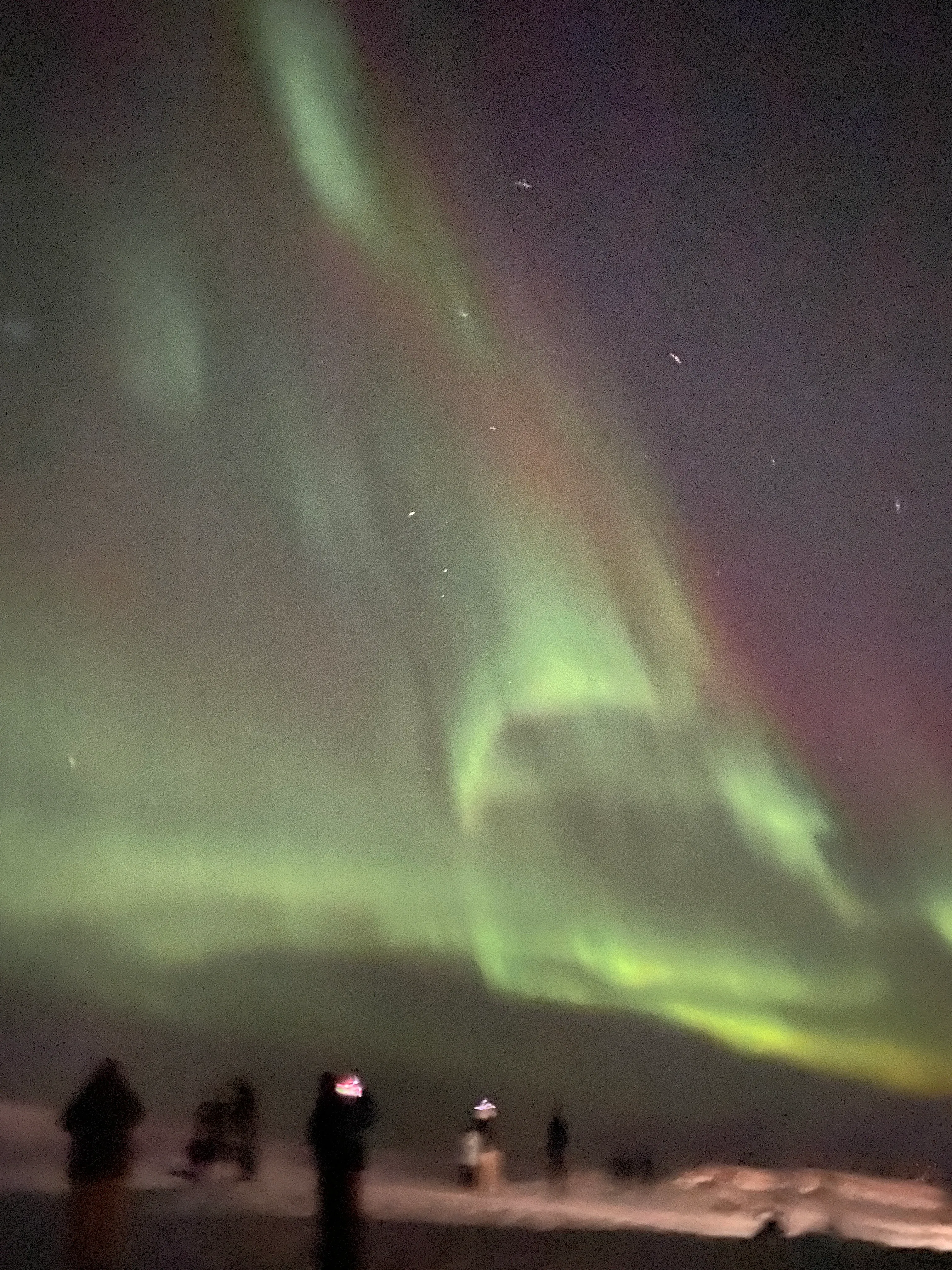 Tromsø Aurora