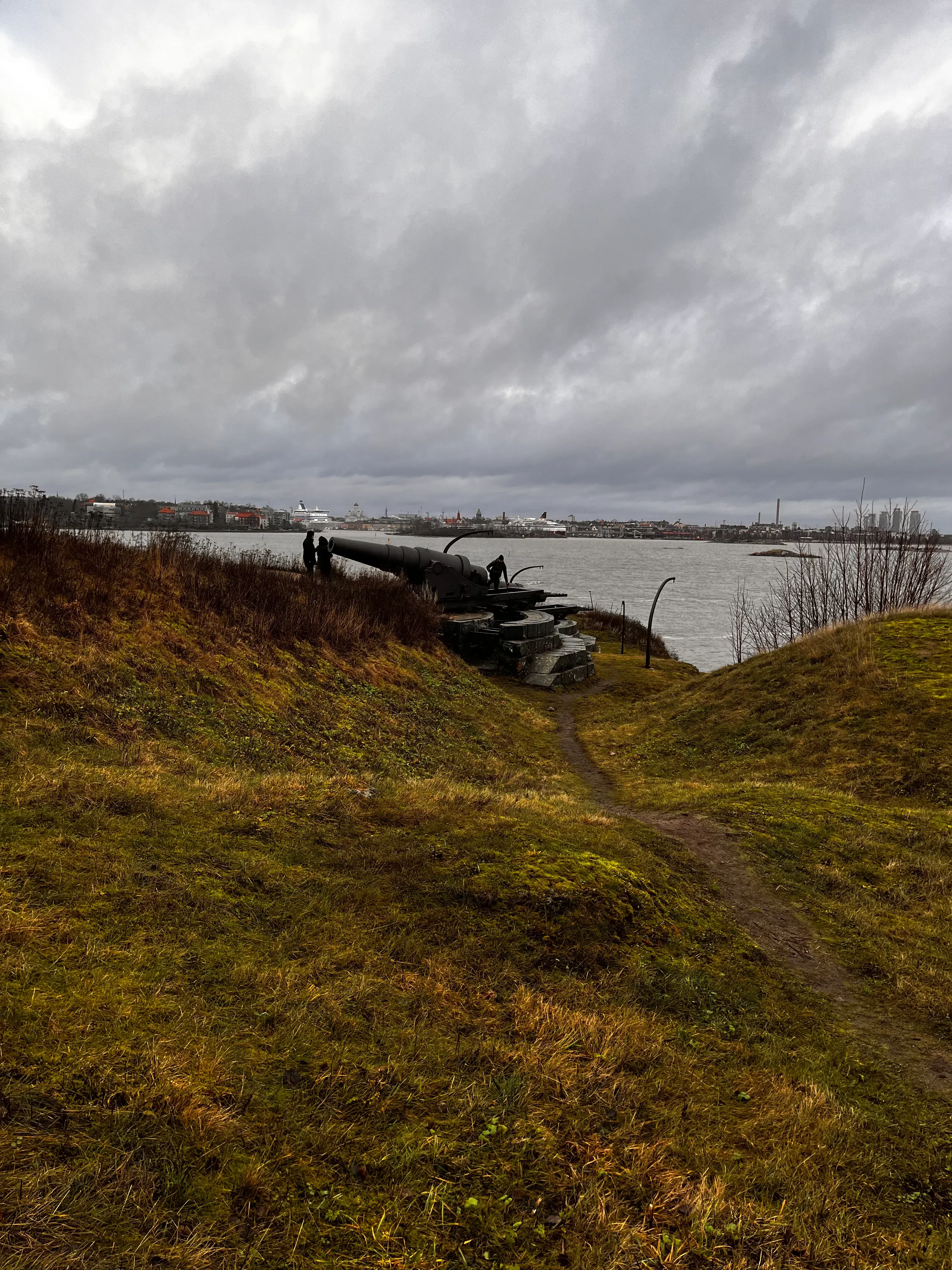 Cannon