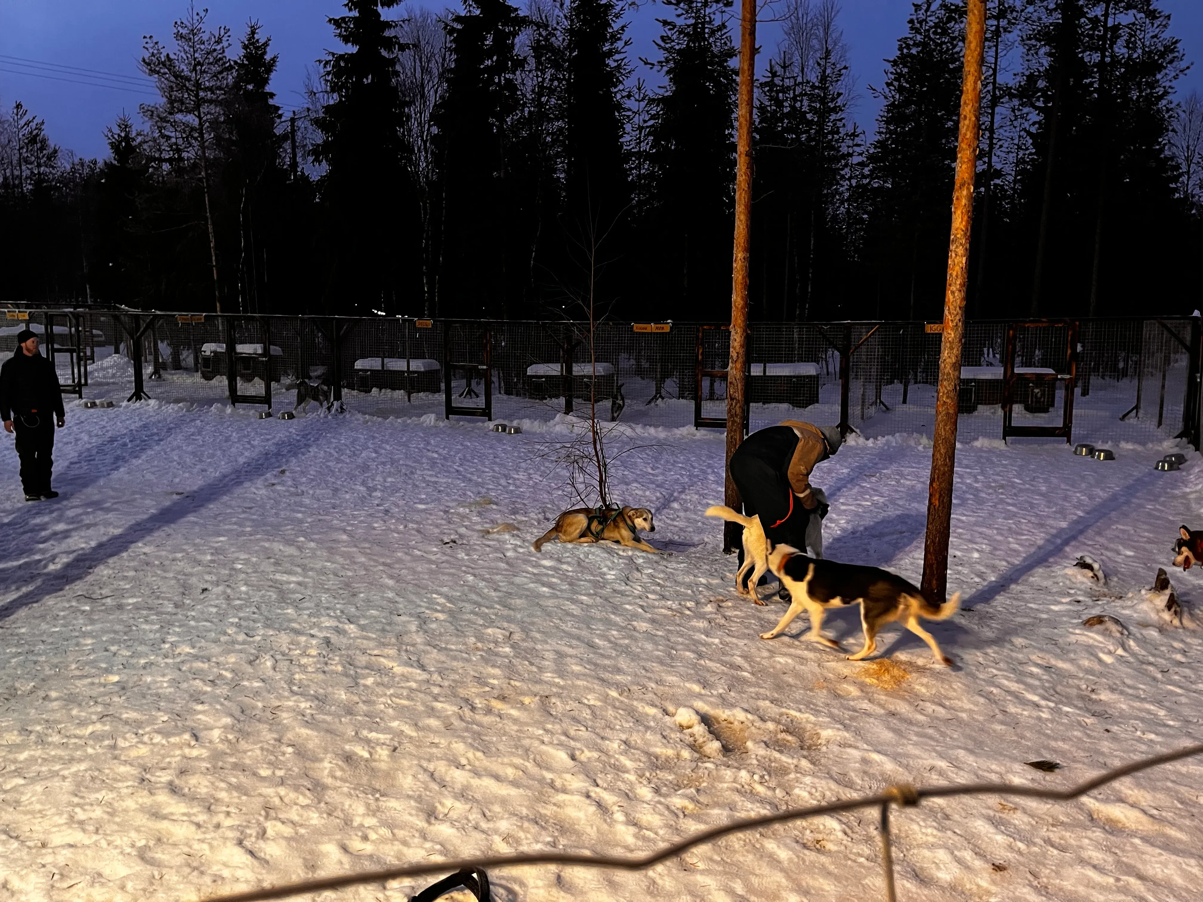 Husky Ride