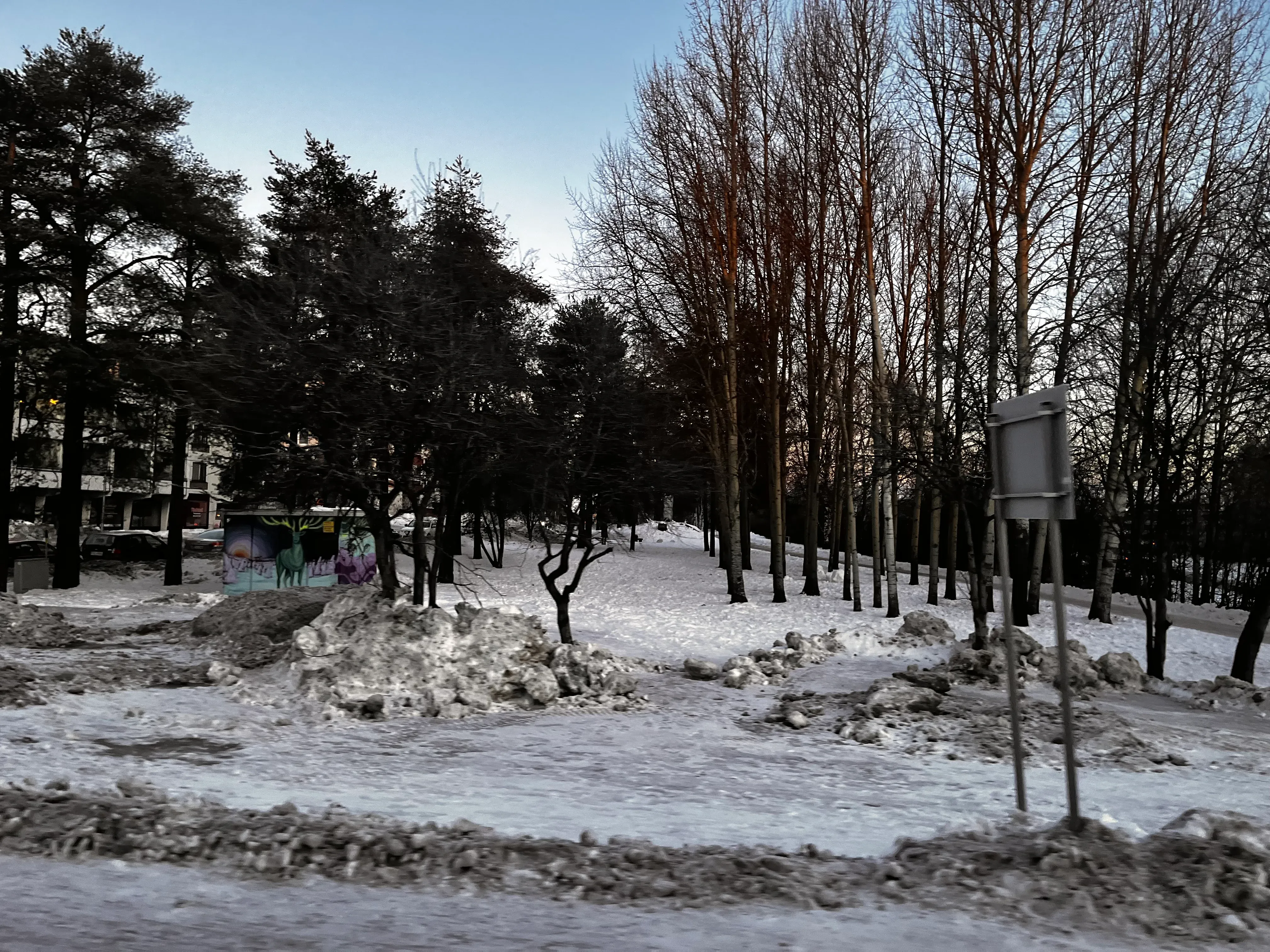 Road View