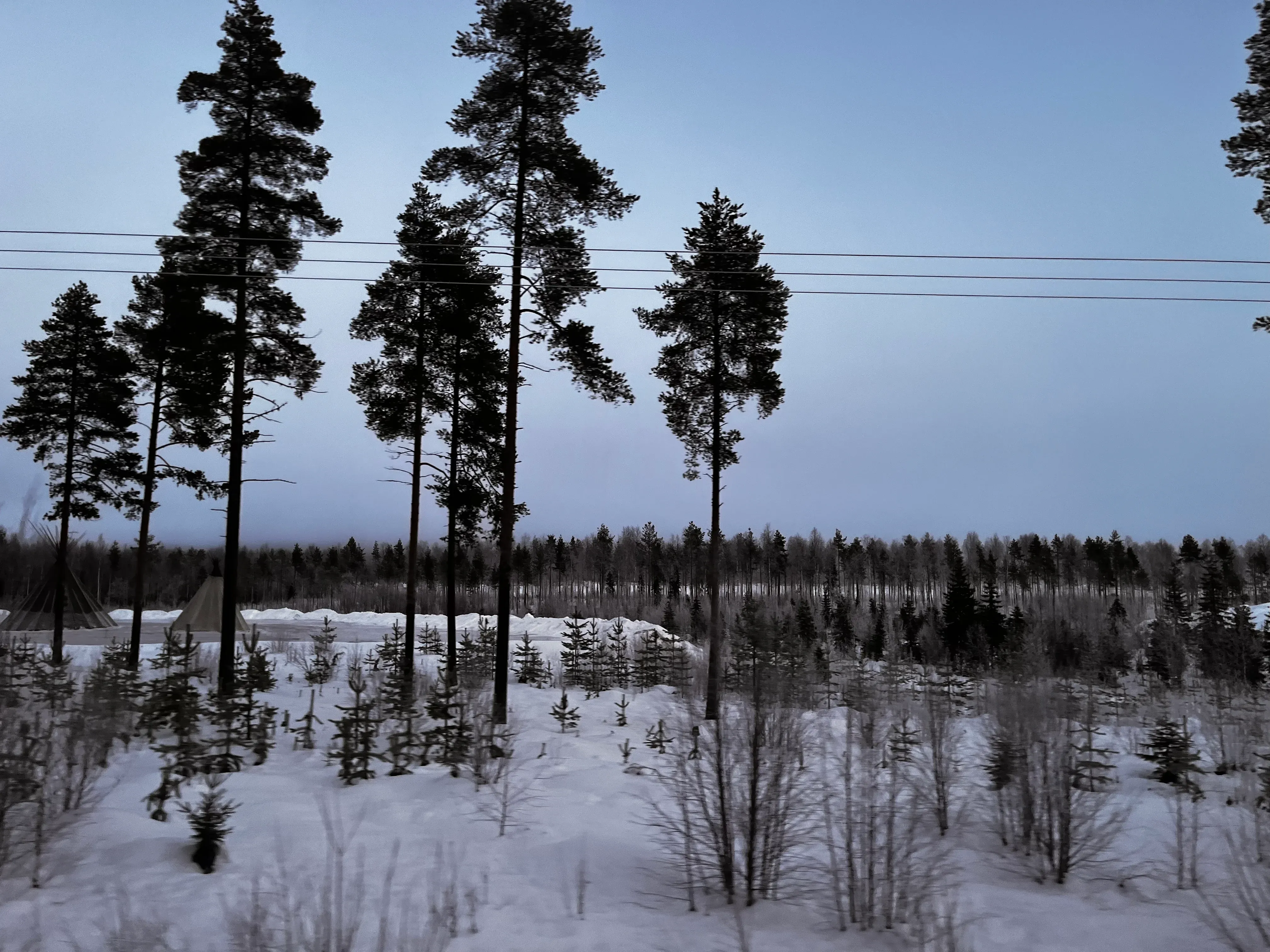 Road View