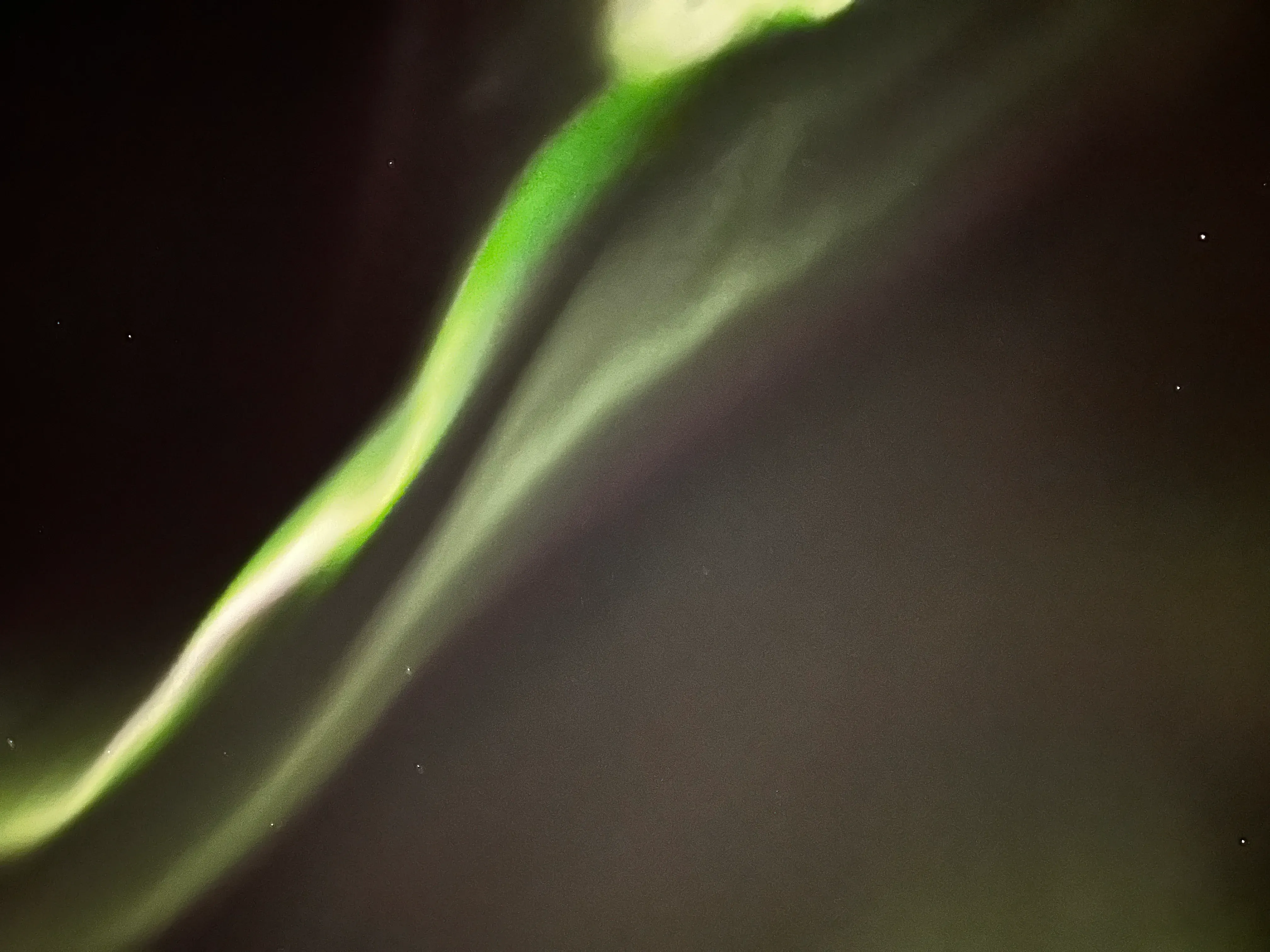Tromsø Aurora
