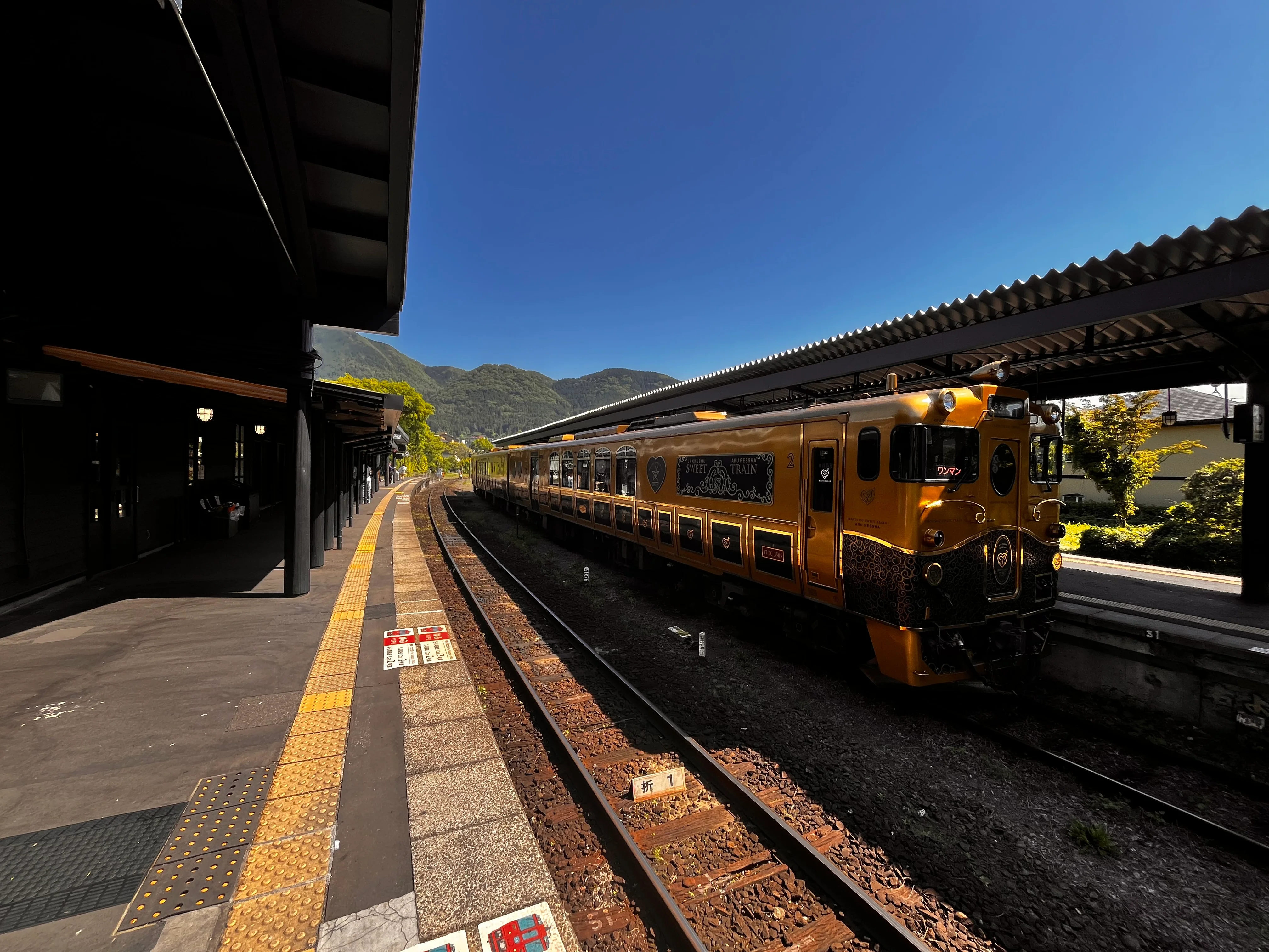 Gold train