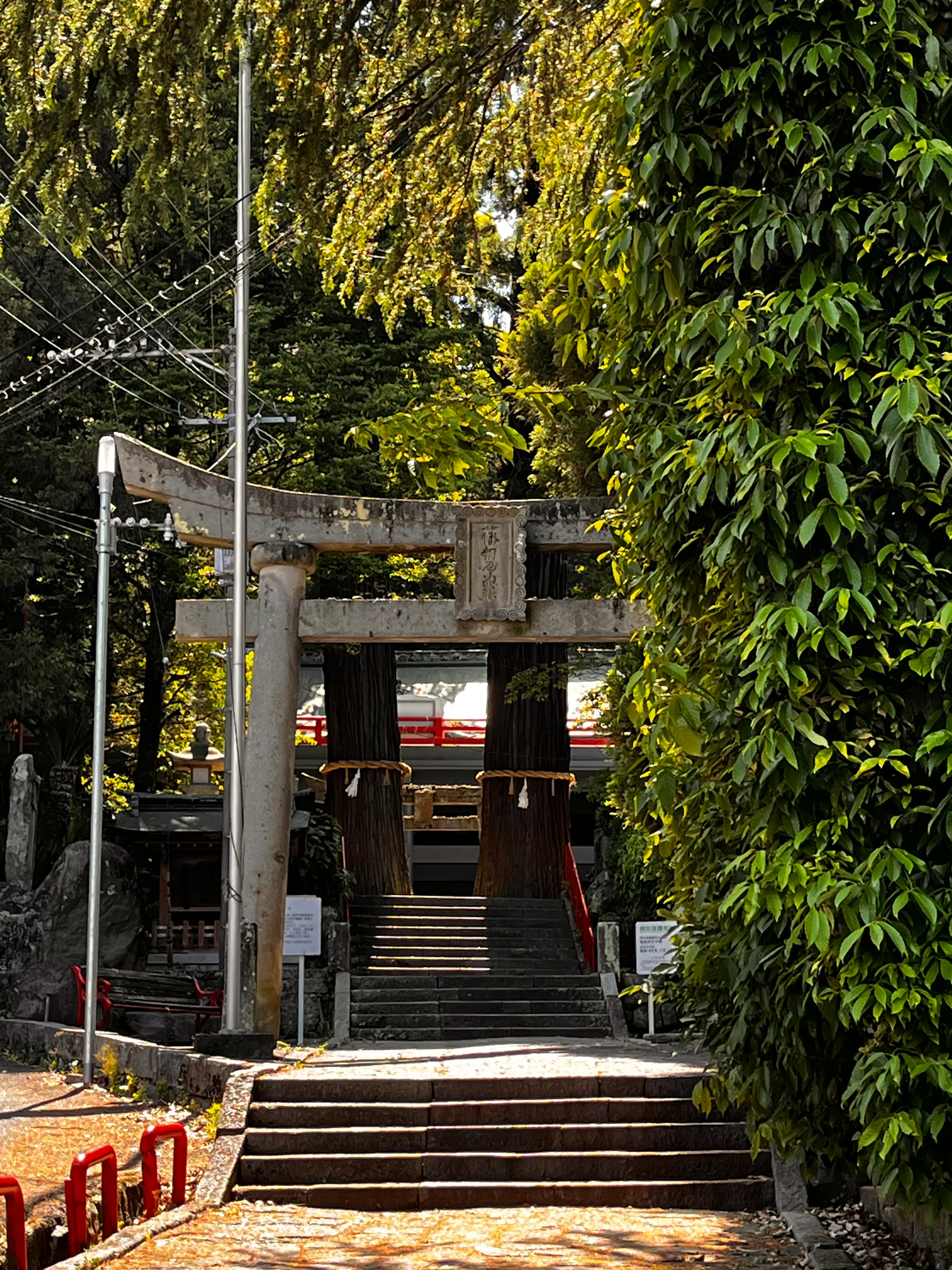 Beppu Torii