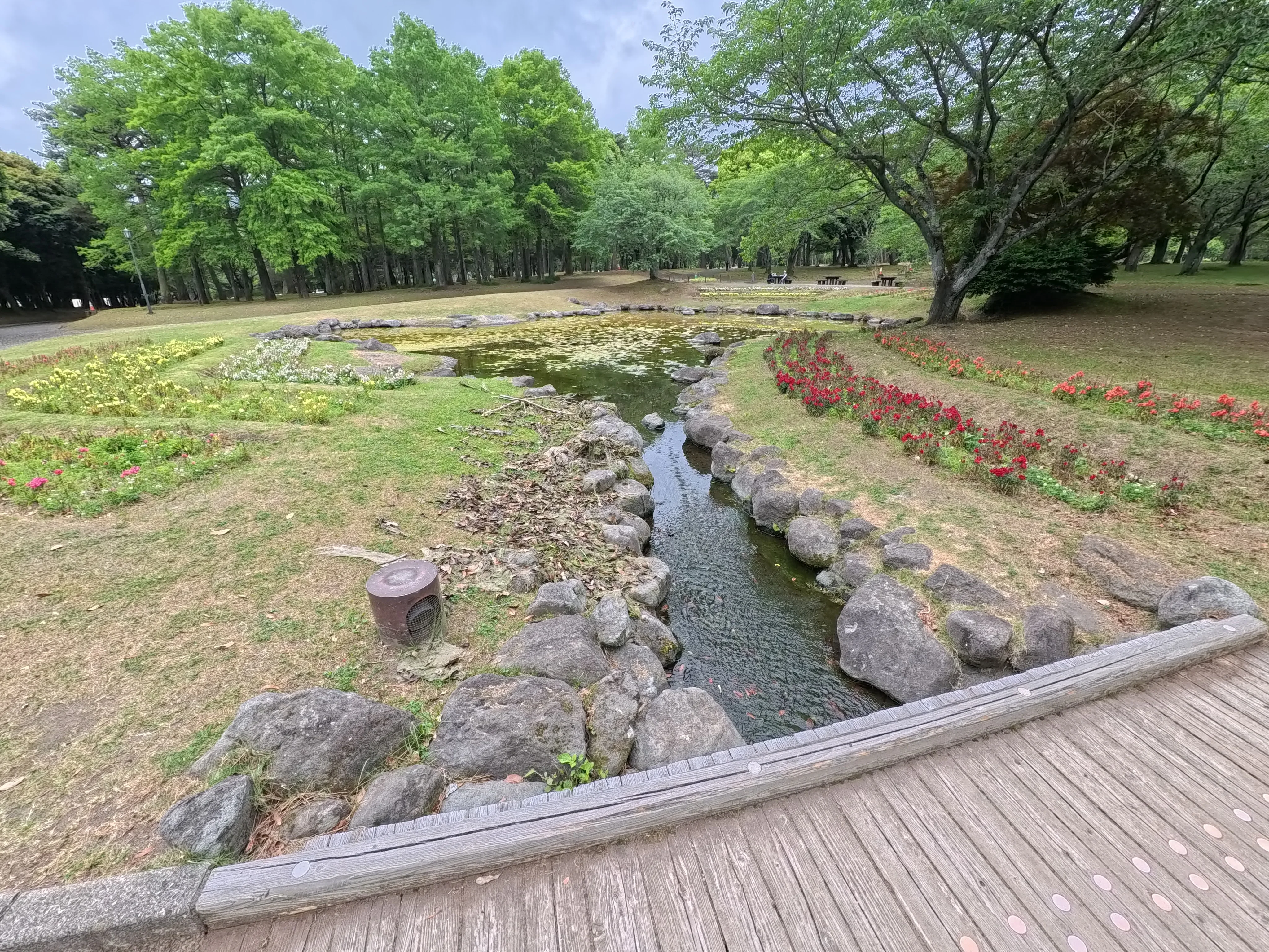 Beppu Park Flower