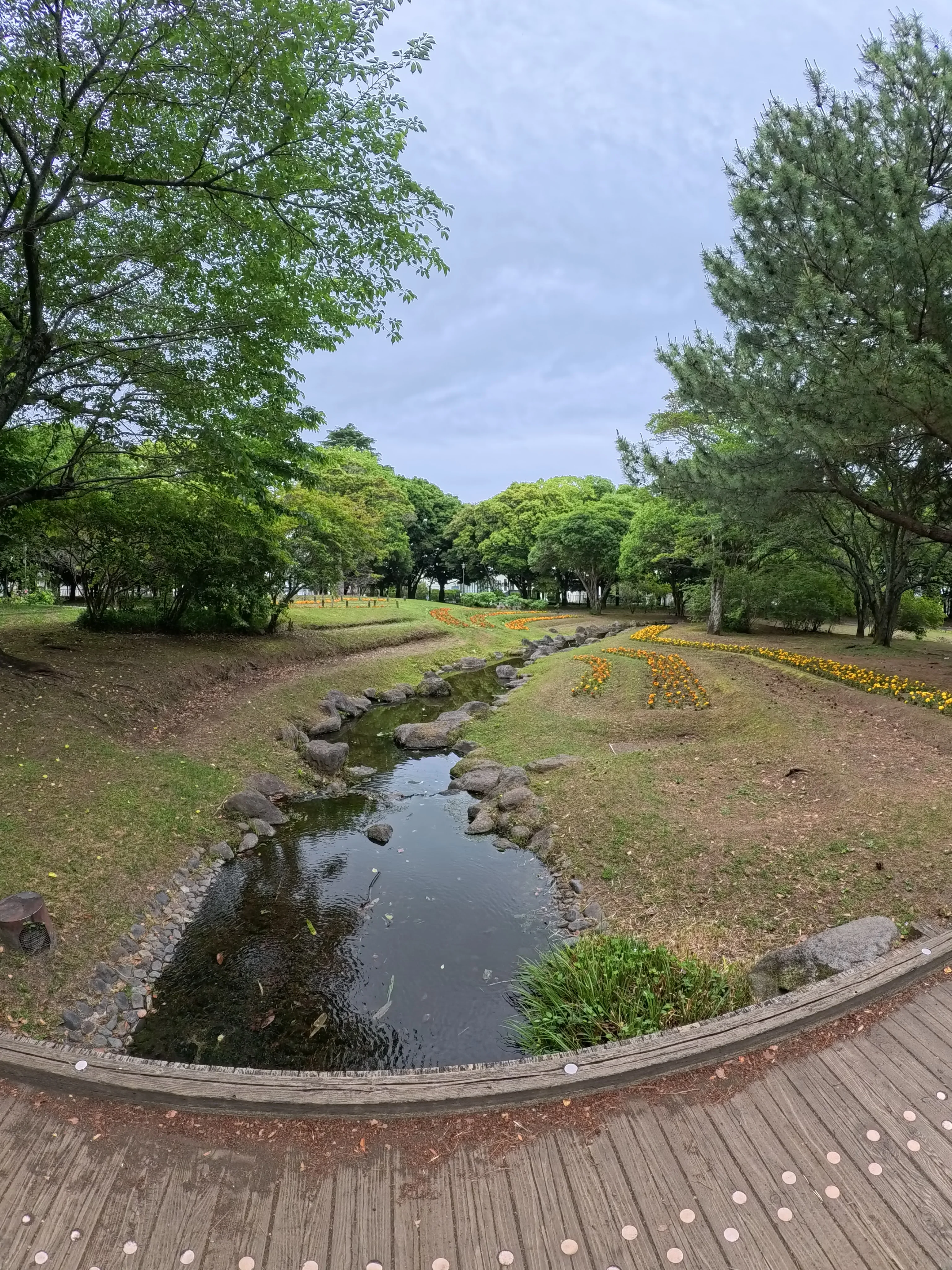 Beppu Park Flower